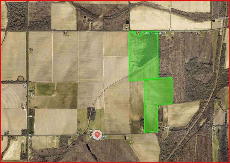 Mitchner/Caston Rd – 155 Acres Near Meta Hyperion