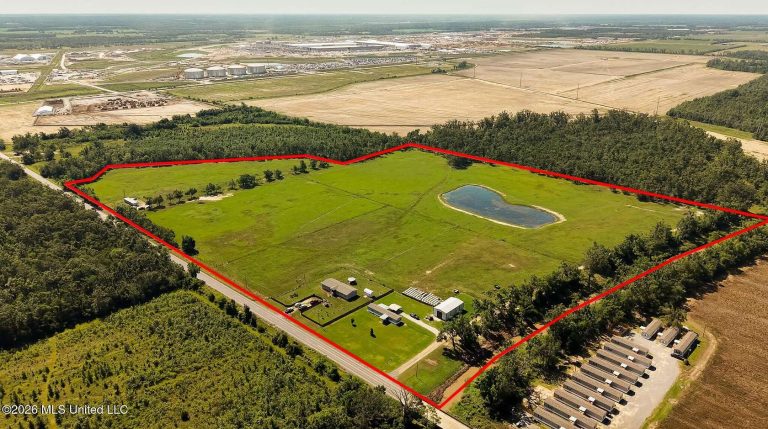 435 Smalling Rd – 47 Acres Near Meta Hyperion 435 Smalling Rd – 47 Acres Near Meta Hyperion